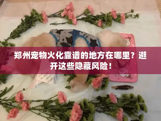 郑州宠物火化靠谱的地方在哪里?避开这些隐藏风险! 郑州宠物火化靠谱的地方在哪里?避开这些隐藏风险!