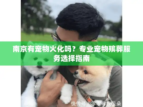 南京有宠物火化吗？专业宠物殡葬服务选择指南