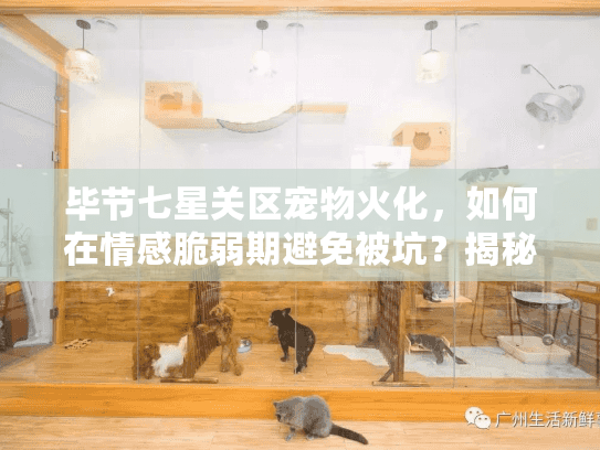 毕节七星关区宠物火化，如何在情感脆弱期避免被坑？揭秘贴心服务秘诀