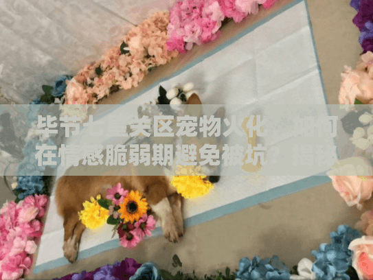 毕节七星关区宠物火化，如何在情感脆弱期避免被坑？揭秘贴心服务秘诀