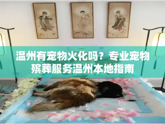 温州有宠物火化吗？专业宠物殡葬服务温州本地指南