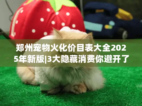 郑州宠物火化价目表大全2025年新版|3大隐藏消费你避开了吗？