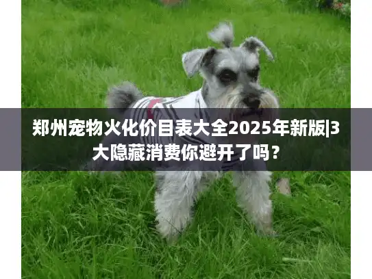 郑州宠物火化价目表大全2025年新版|3大隐藏消费你避开了吗？