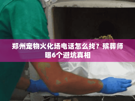 郑州宠物火化场电话怎么找？殡葬师曝6个避坑真相