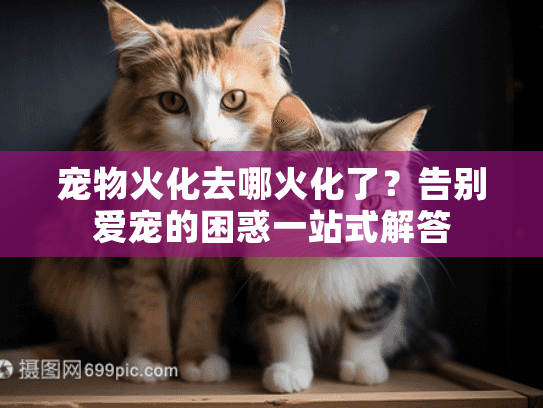 宠物火化去哪火化了?告别爱宠的困惑一站式解答 宠物火化去哪火化了?告别爱宠的困惑一站式解答