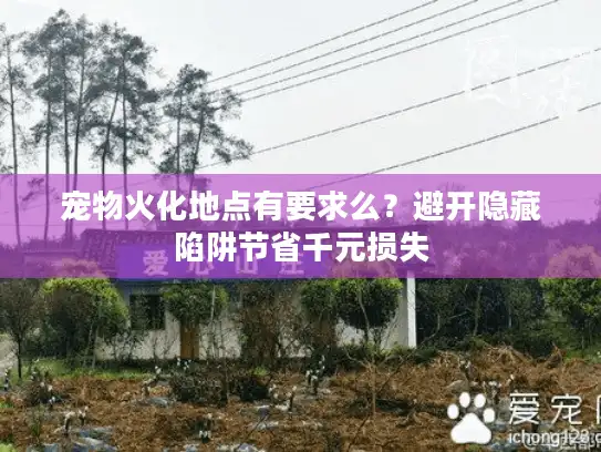 宠物火化地点有要求么？避开隐藏陷阱节省千元损失
