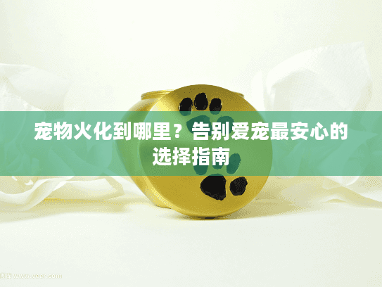 宠物火化到哪里？告别爱宠最安心的选择指南