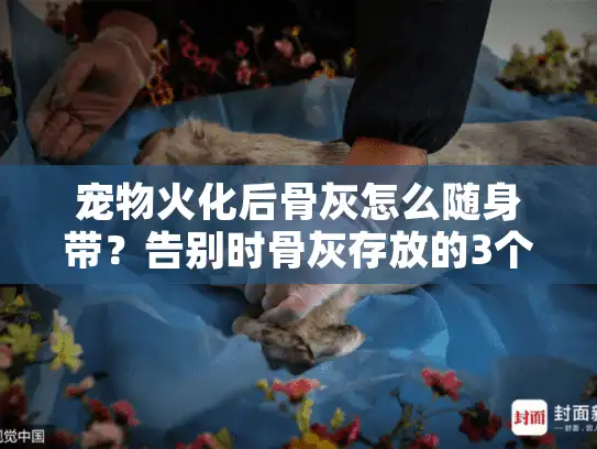 宠物火化后骨灰怎么随身带？告别时骨灰存放的3个隐形雷区
