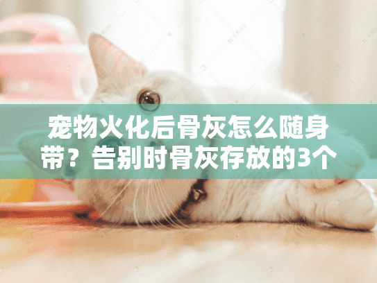 宠物火化后骨灰怎么随身带？告别时骨灰存放的3个隐形雷区