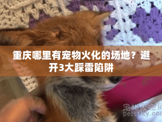 重庆哪里有宠物火化的场地?避开3大踩雷陷阱 重庆哪里有宠物火化的场地?避开3大踩雷陷阱