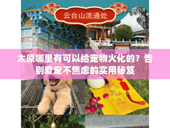 太原哪里有可以给宠物火化的？告别爱宠不焦虑的实用秘笈