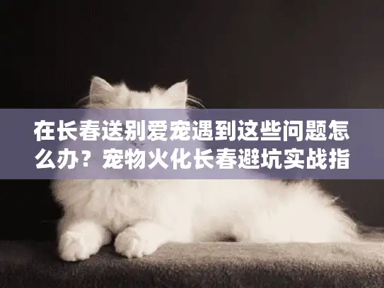 在长春送别爱宠遇到这些问题怎么办?宠物火化长春避坑实战指南 在长春送别爱宠遇到这些问题怎么办?宠物火化长春避坑实战指南