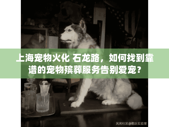上海宠物火化 石龙路,如何找到靠谱的宠物殡葬服务告别爱宠? 上海宠物火化 石龙路,如何找到靠谱的宠物殡葬服务告别爱宠?