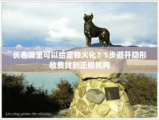 长春哪里可以给宠物火化?5步避开隐形收费找到正规机构 长春哪里可以给宠物火化?5步避开隐形收费找到正规机构