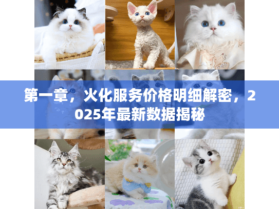 第一章，火化服务价格明细解密，2025年最新数据揭秘
