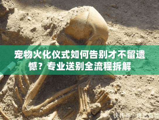 宠物火化仪式如何告别才不留遗憾？专业送别全流程拆解