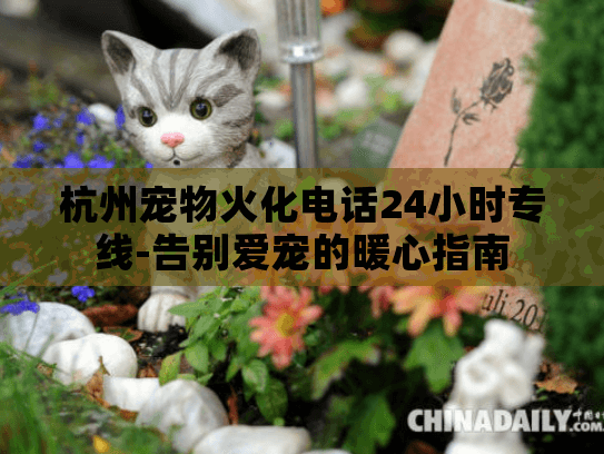 杭州宠物火化电话24小时专线-告别爱宠的暖心指南