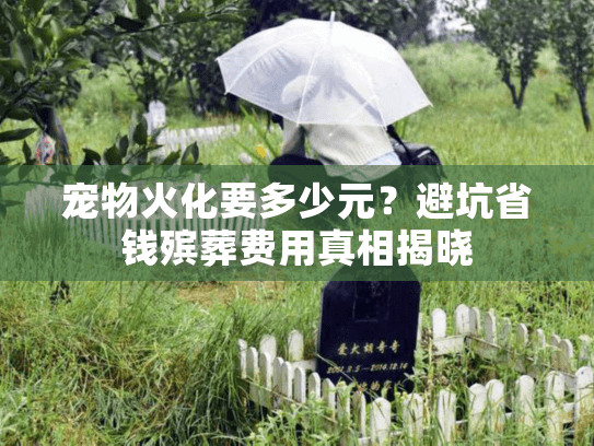 宠物火化要多少元？避坑省钱殡葬费用真相揭晓