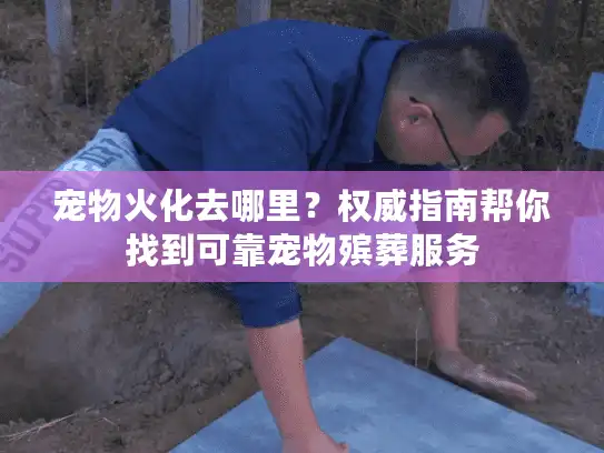 宠物火化去哪里？权威指南帮你找到可靠宠物殡葬服务