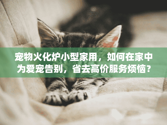 宠物火化炉小型家用，如何在家中为爱宠告别，省去高价服务烦恼？