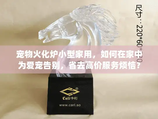 宠物火化炉小型家用，如何在家中为爱宠告别，省去高价服务烦恼？