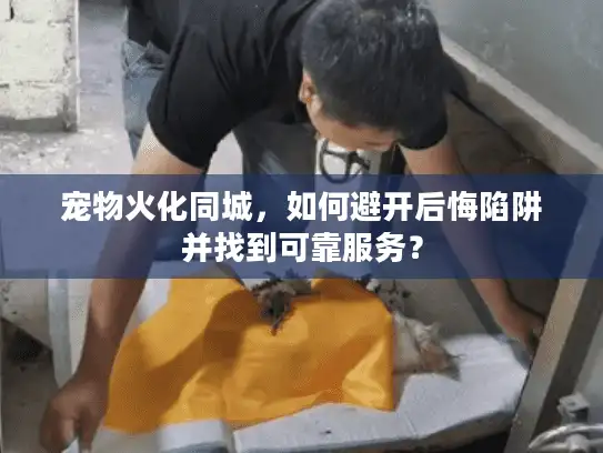 宠物火化同城，如何避开后悔陷阱并找到可靠服务？