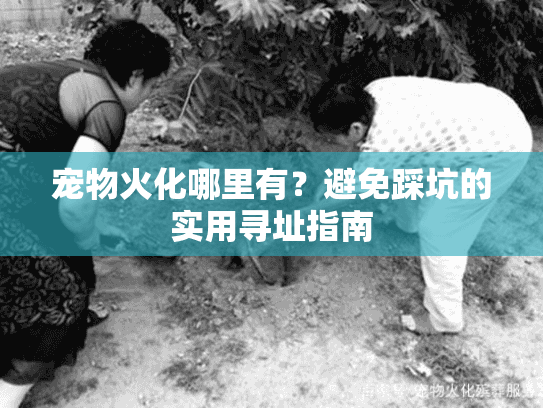 宠物火化哪里有？避免踩坑的实用寻址指南