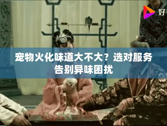 宠物火化味道大不大？选对服务告别异味困扰