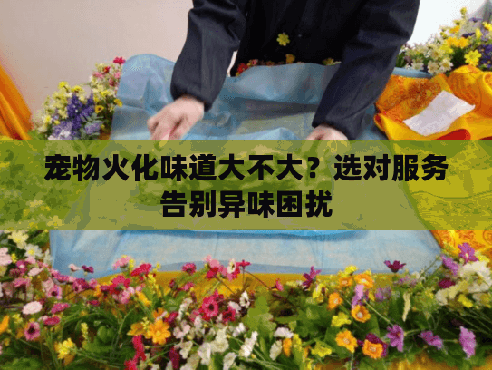 宠物火化味道大不大？选对服务告别异味困扰