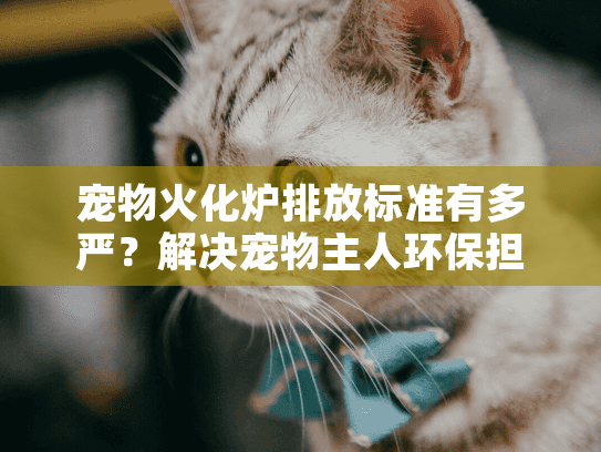 宠物火化炉排放标准有多严？解决宠物主人环保担忧的核心指标