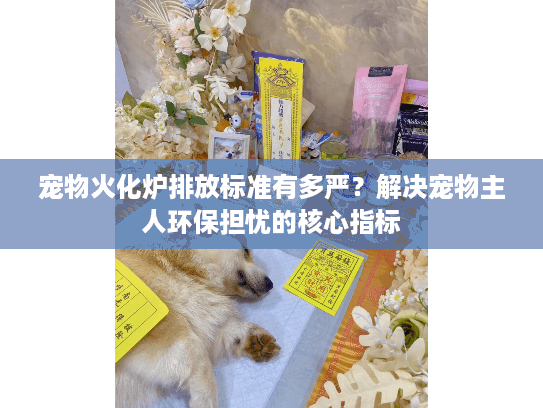 宠物火化炉排放标准有多严？解决宠物主人环保担忧的核心指标
