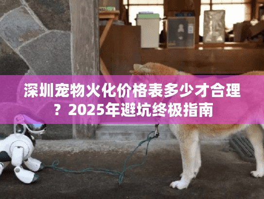 深圳宠物火化价格表多少才合理？2025年避坑终极指南