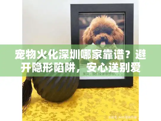 宠物火化深圳哪家靠谱？避开隐形陷阱，安心送别爱宠伙伴