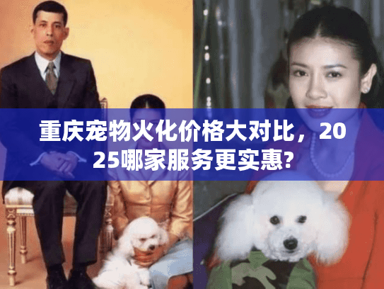 重庆宠物火化价格大对比，2025哪家服务更实惠?