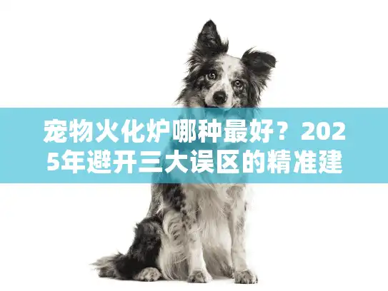 宠物火化炉哪种最好？2025年避开三大误区的精准建议