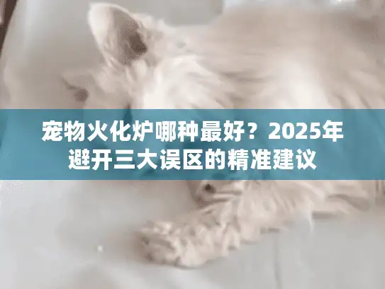 宠物火化炉哪种最好？2025年避开三大误区的精准建议