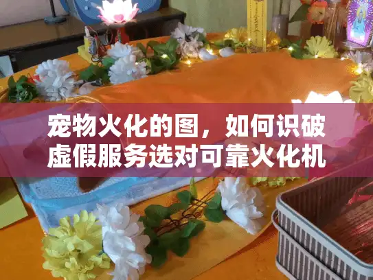 宠物火化的图，如何识破虚假服务选对可靠火化机构？