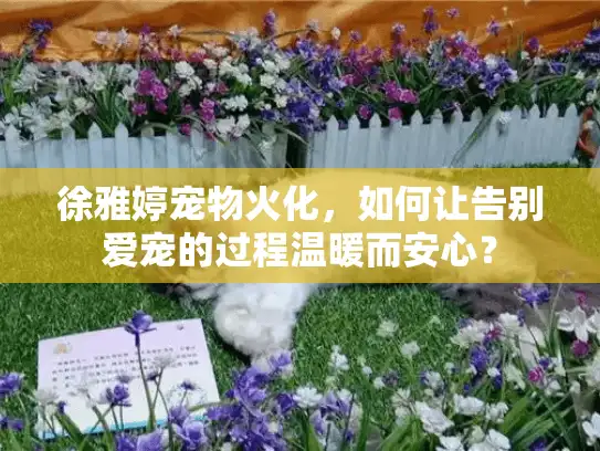徐雅婷宠物火化，如何让告别爱宠的过程温暖而安心？