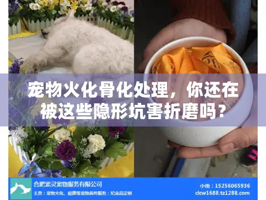 宠物火化骨化处理，你还在被这些隐形坑害折磨吗？