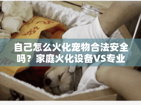 自己怎么火化宠物合法安全吗?家庭火化设备VS专业机构深度分析 自己怎么火化宠物合法安全吗?家庭火化设备VS专业机构深度分析