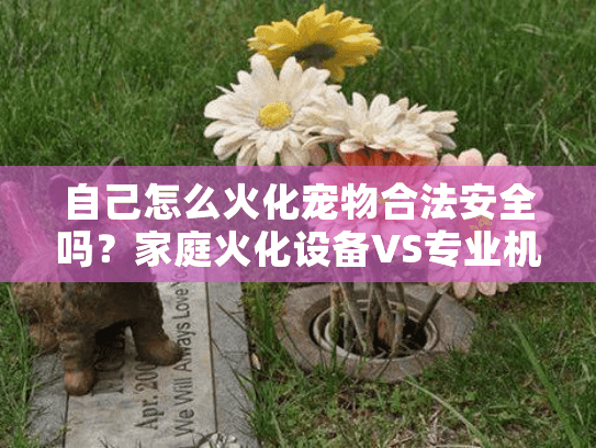 自己怎么火化宠物合法安全吗?家庭火化设备VS专业机构深度分析 自己怎么火化宠物合法安全吗?家庭火化设备VS专业机构深度分析