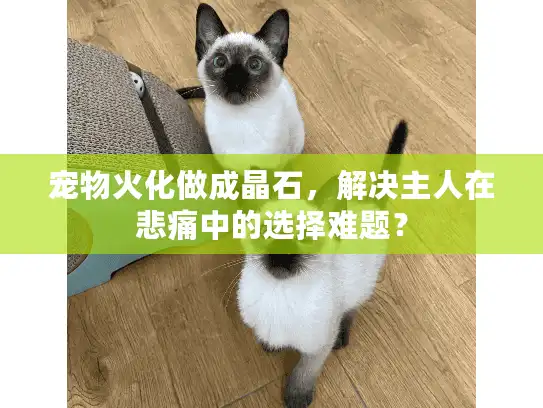 宠物火化做成晶石，解决主人在悲痛中的选择难题？