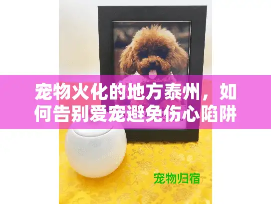 宠物火化的地方泰州,如何告别爱宠避免伤心陷阱? 宠物火化的地方泰州,如何告别爱宠避免伤心陷阱?