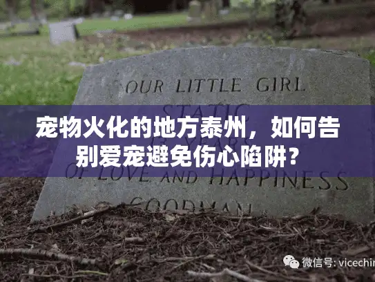 宠物火化的地方泰州,如何告别爱宠避免伤心陷阱? 宠物火化的地方泰州,如何告别爱宠避免伤心陷阱?