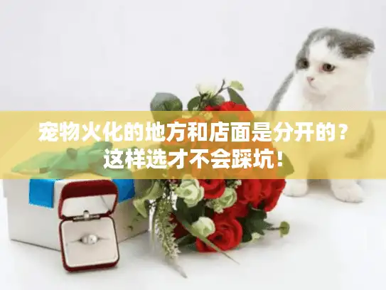 宠物火化的地方和店面是分开的？这样选才不会踩坑！
