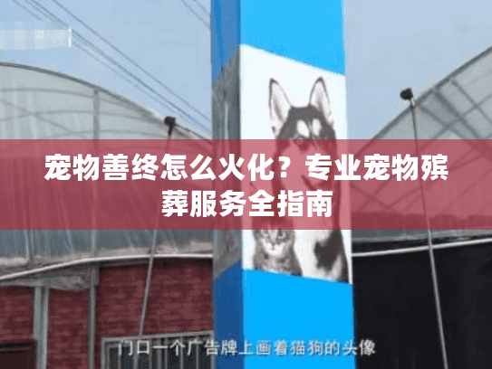 宠物善终怎么火化?专业宠物殡葬服务全指南 宠物善终怎么火化?专业宠物殡葬服务全指南