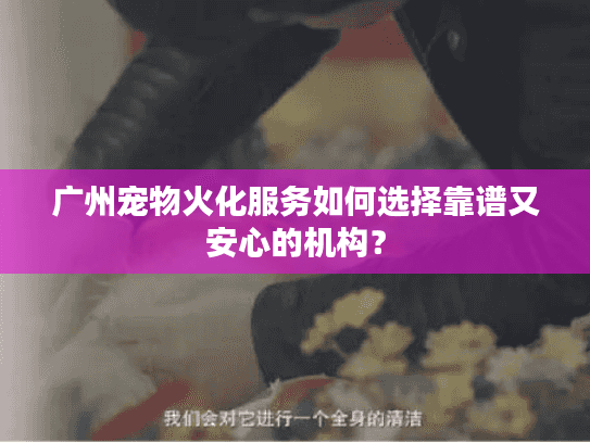 广州宠物火化服务如何选择靠谱又安心的机构？