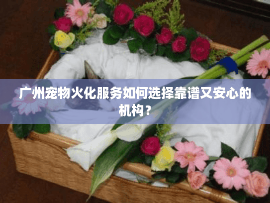 广州宠物火化服务如何选择靠谱又安心的机构？