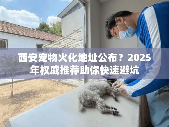 西安宠物火化地址公布？2025年权威推荐助你快速避坑