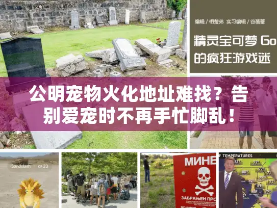 公明宠物火化地址难找？告别爱宠时不再手忙脚乱！